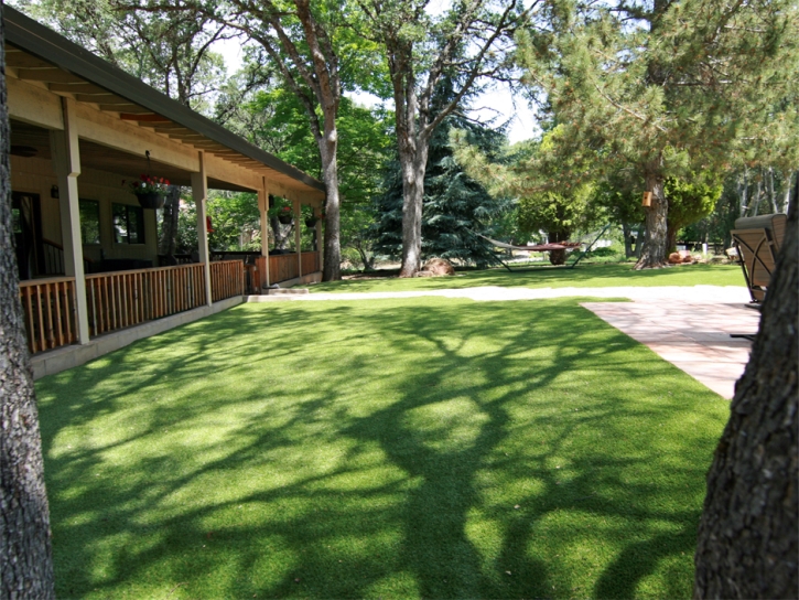 Turf Grass Carlsbad, California Dog Parks, Backyard Design