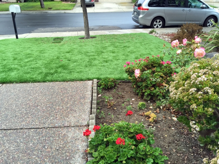 Turf Grass Encinitas, California Dog Parks, Front Yard Landscaping