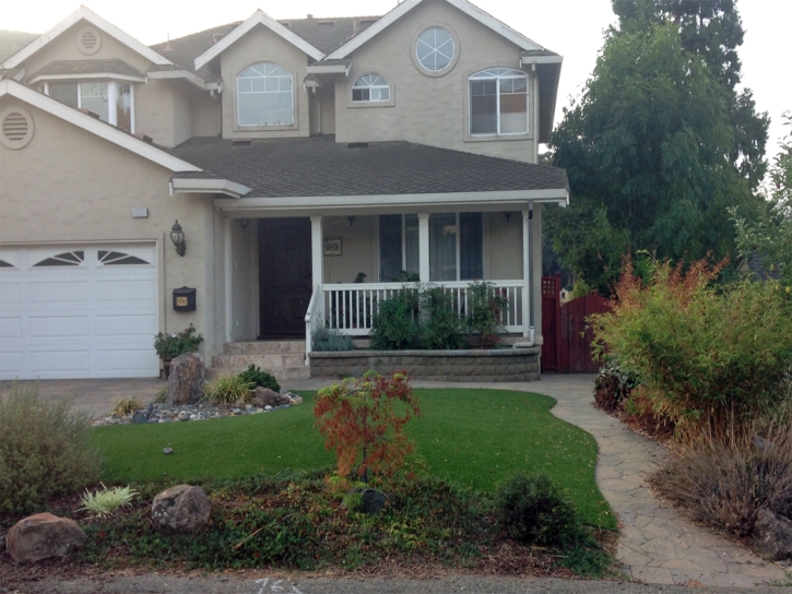 Turf Grass Tehachapi, California Backyard Playground, Front Yard Landscaping